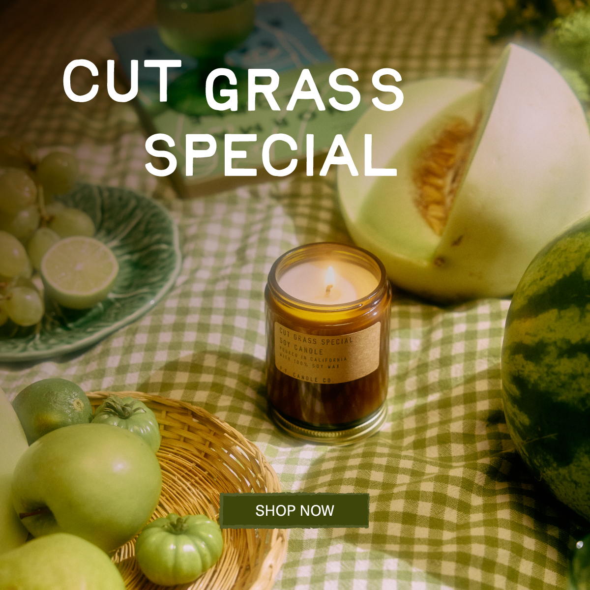 CUT GRASS SPECIAL [SHOP NOW] [lit candle on picnic blanket with fruit and book]