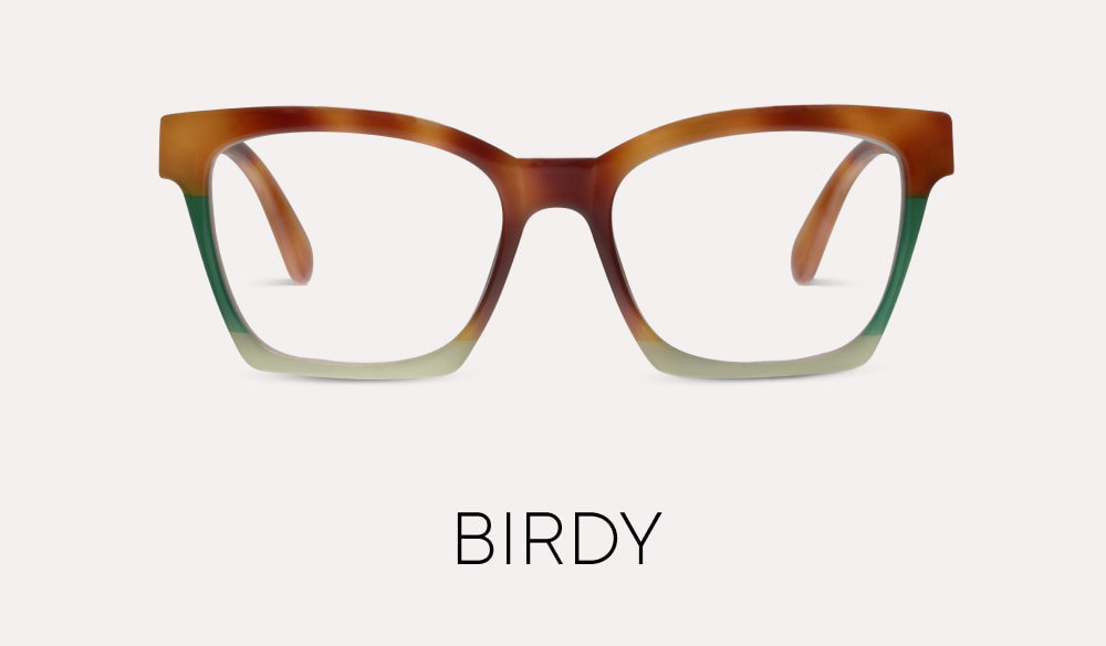 Birdy