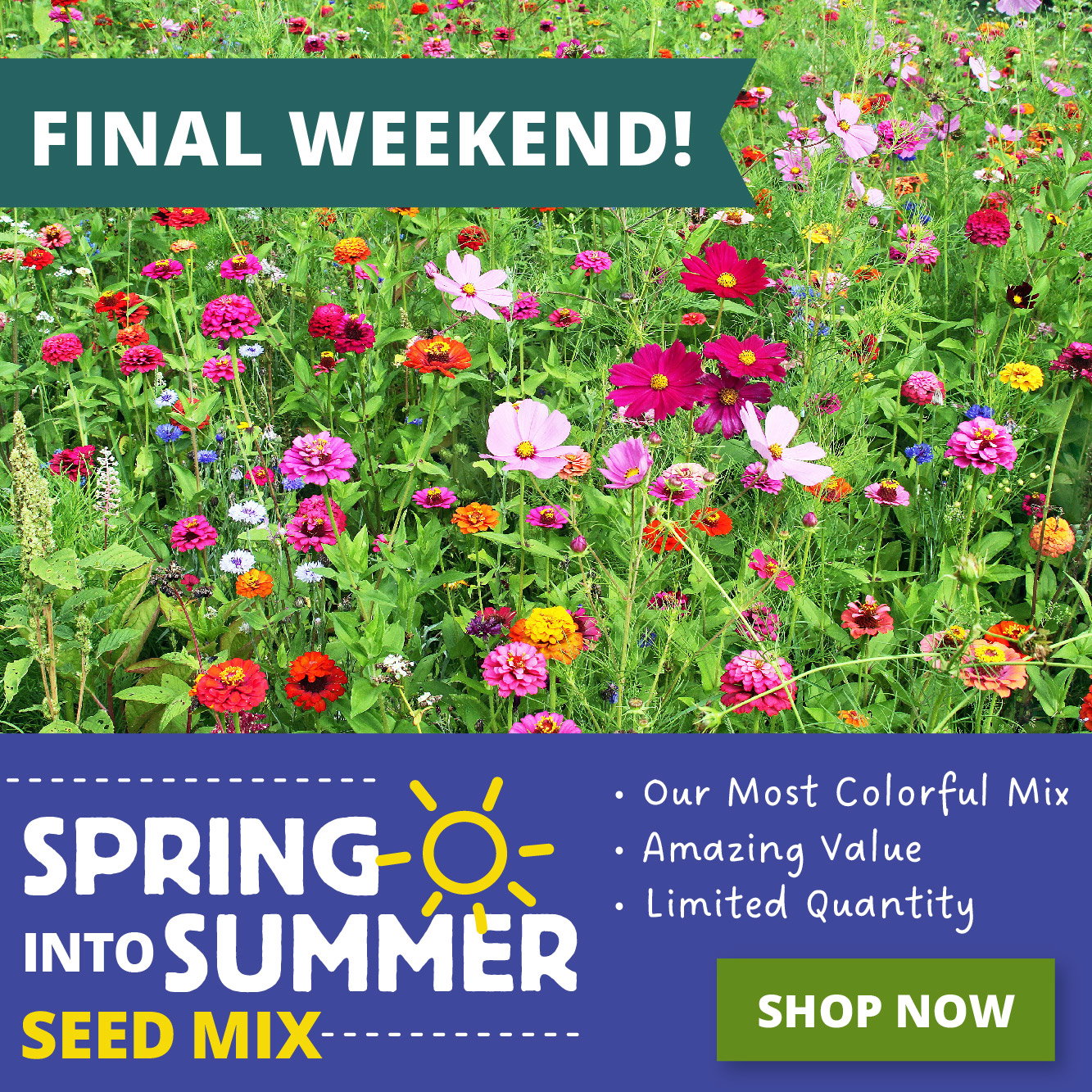 Save 30% Final Weekend