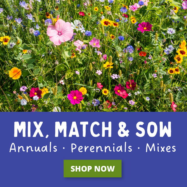 Save Up To 30%