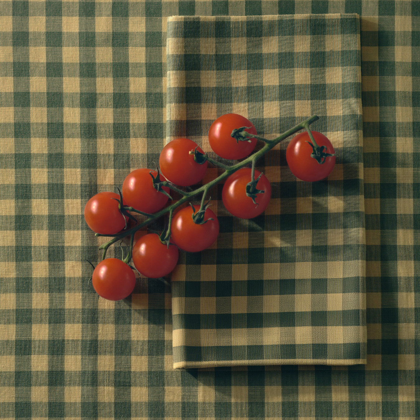 Elm Green & Butter Yellow Gingham Linen Blend Tablecloth