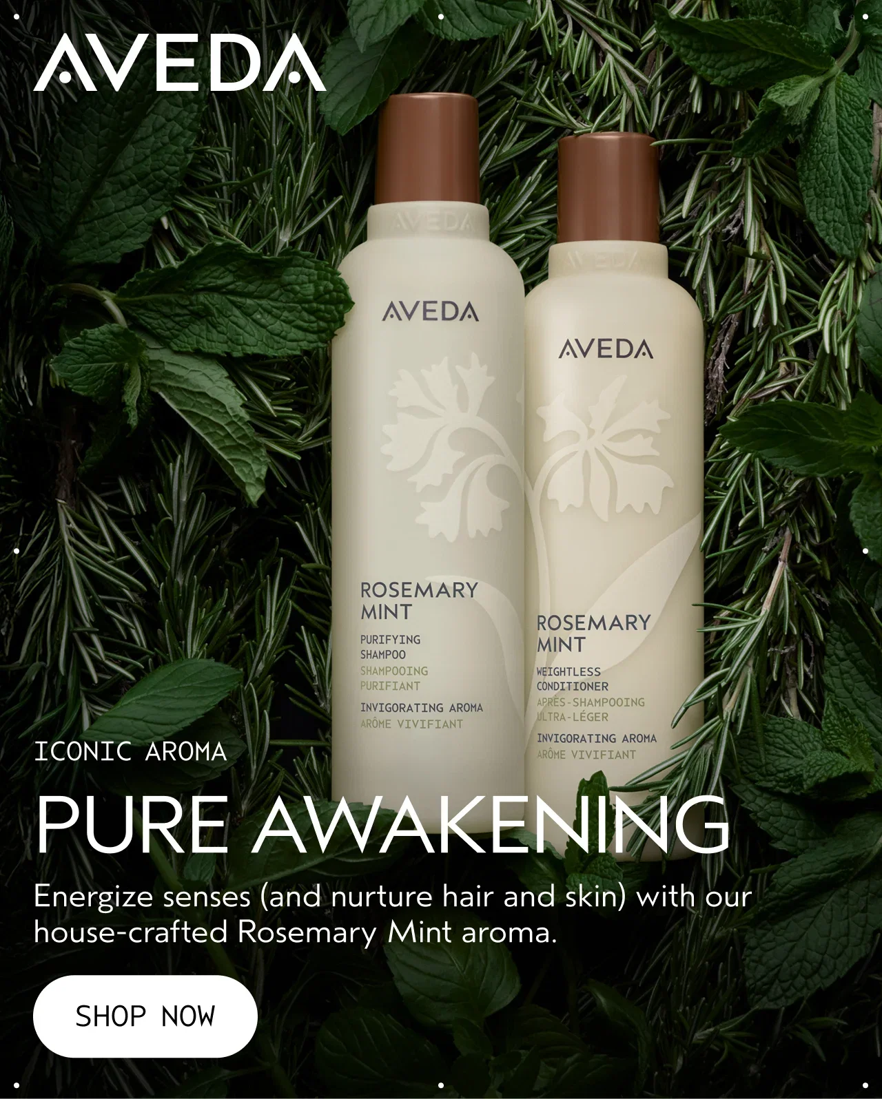 ICONIC AROMA PURE AWAKENING Energize senses and nurture hiar and skin with our house-crafted Rosemary Mint aroma. SHOP NOW