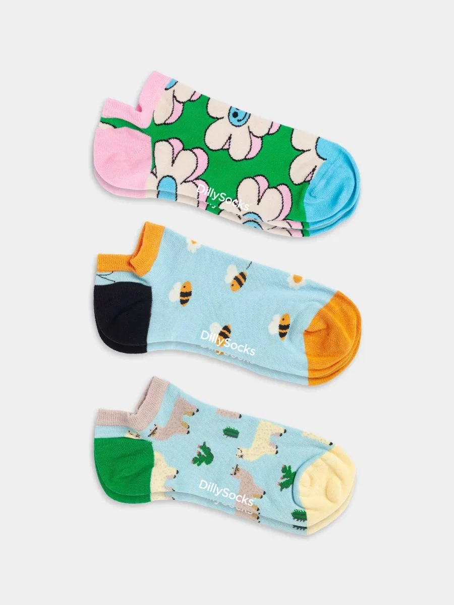 Image of Short Animal Attire (3er Pack)