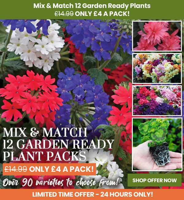 Garden Ready Mix & Match