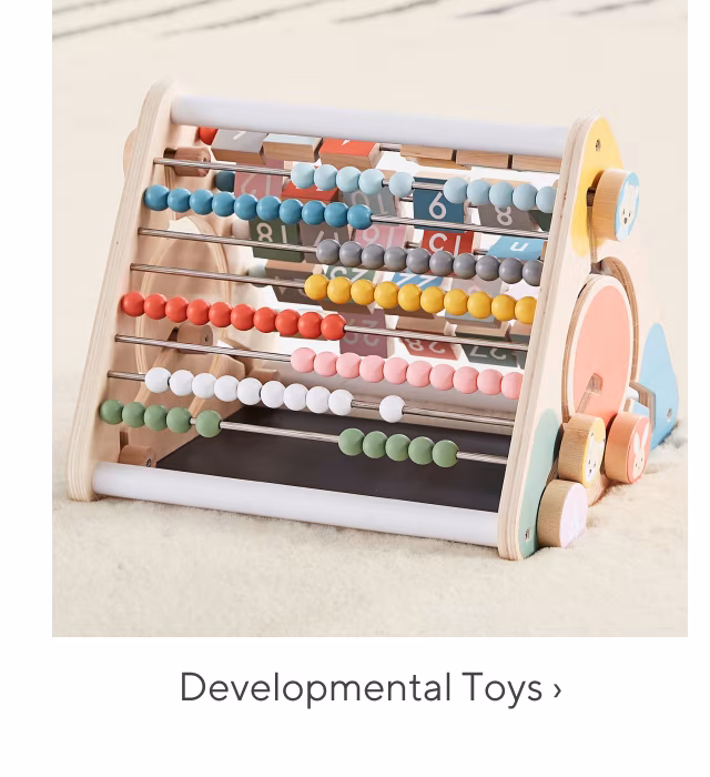 developmental toys