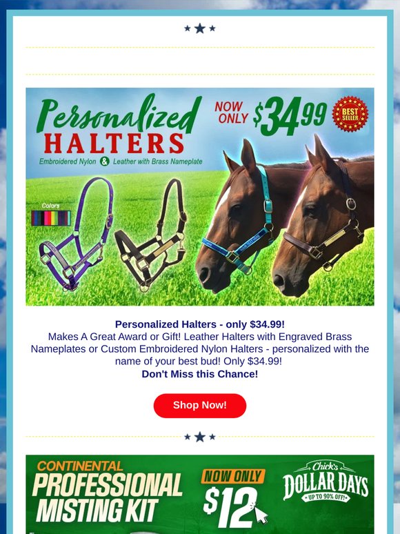 Personalized Halters $34.99 🐴
