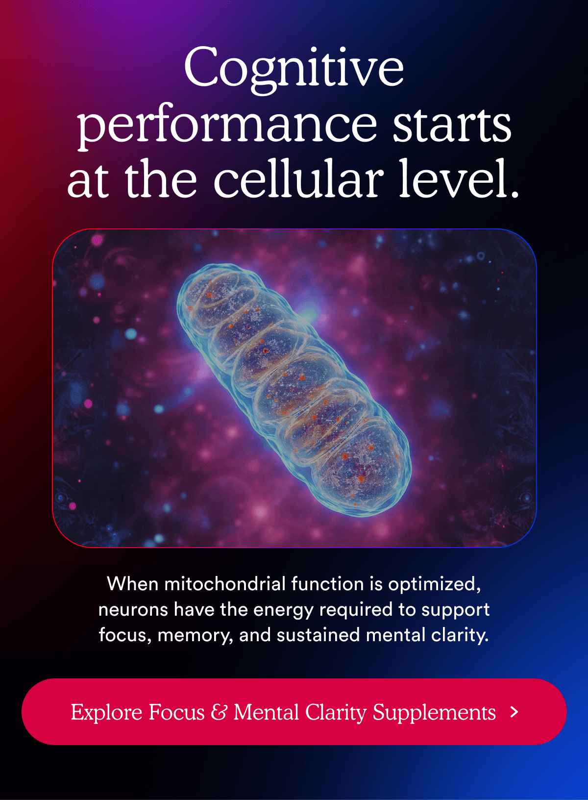 Cognitive performance starts at the cellular level | Explore Focus & Mental Clarity Supplements >