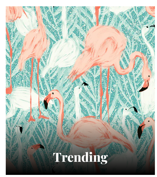 Shop Trending.