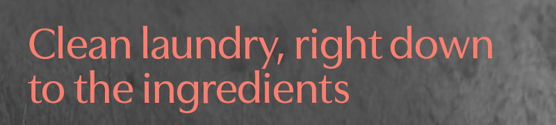Clean laundry, right down to the ingredients