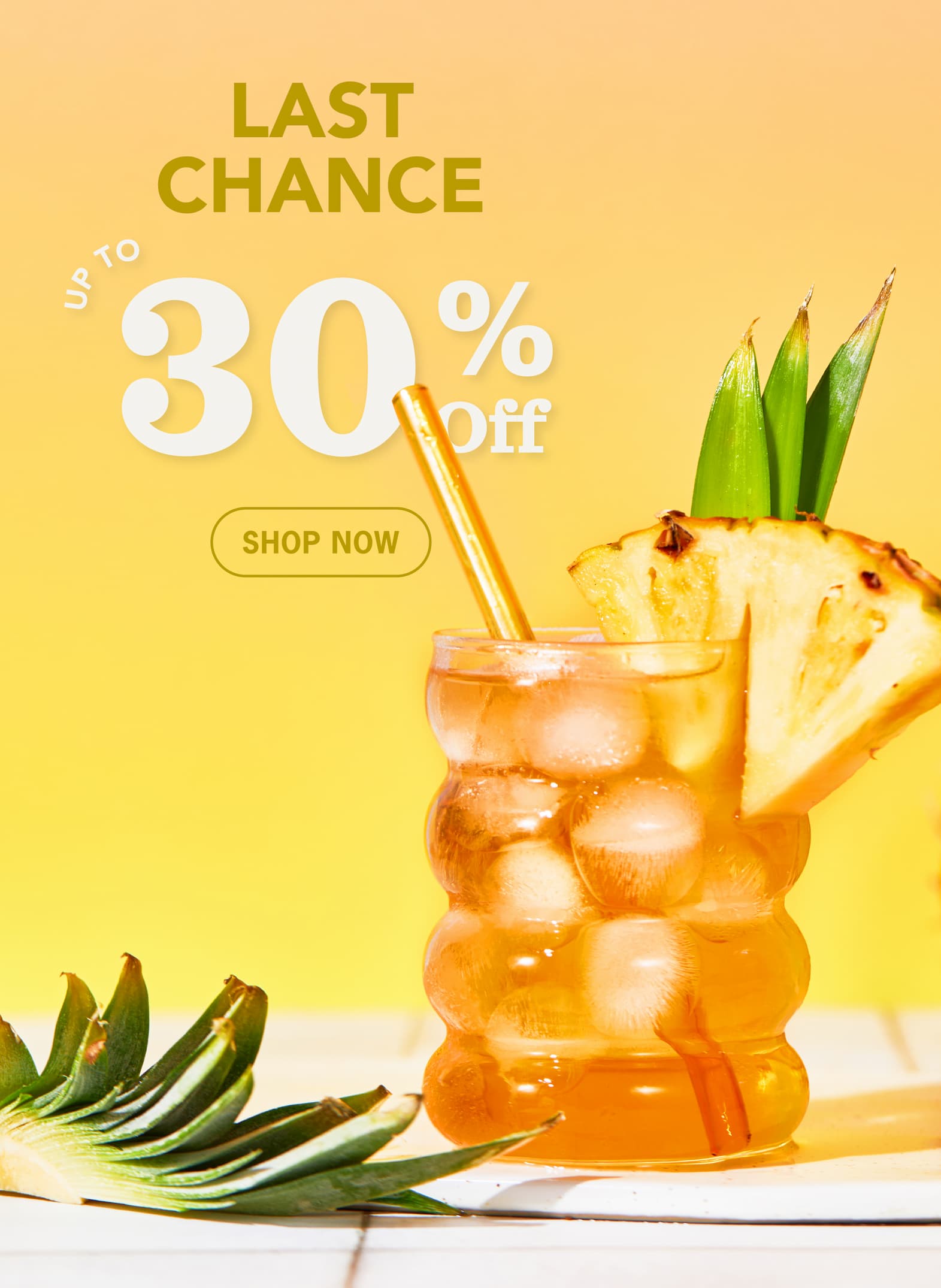 Hero: Last Chance Up to 30% Off  CTA: Shop Now 