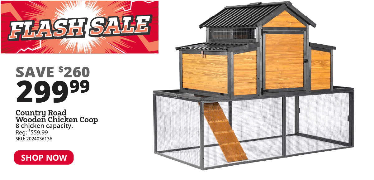 Country Road Wooden Chicken Coop, 8 Chicken Capacity – SHWE004010N1
