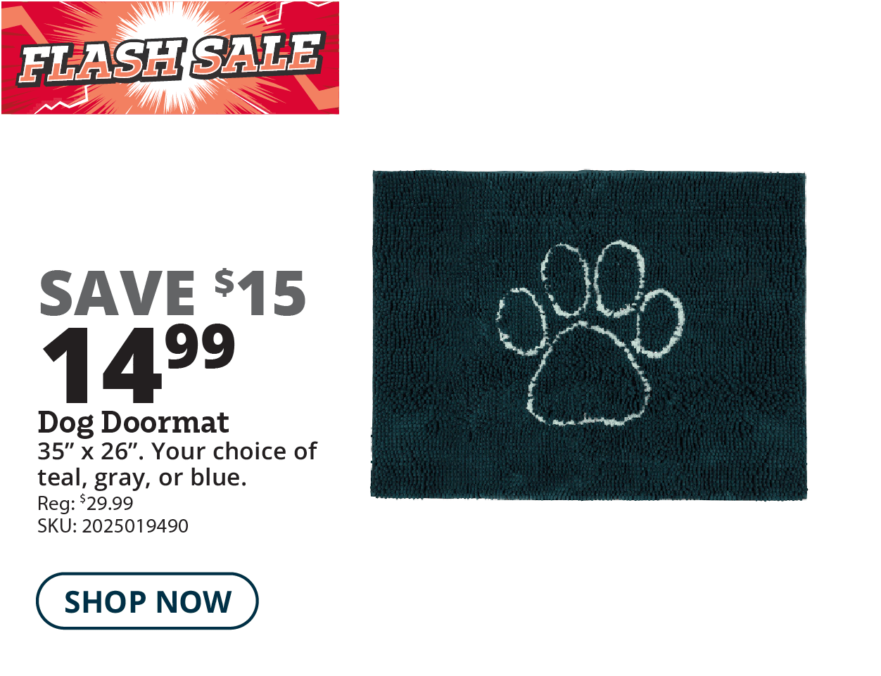 Dog Doormat