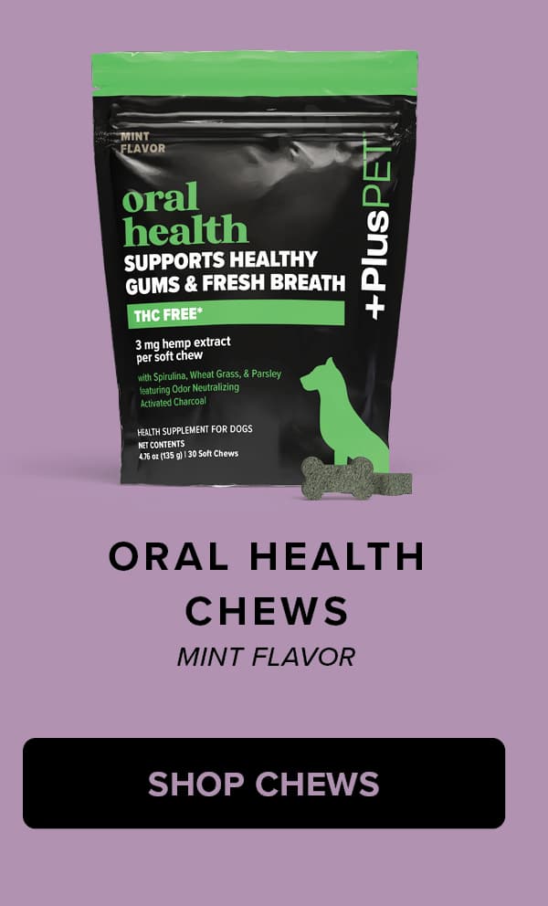 cbd balm