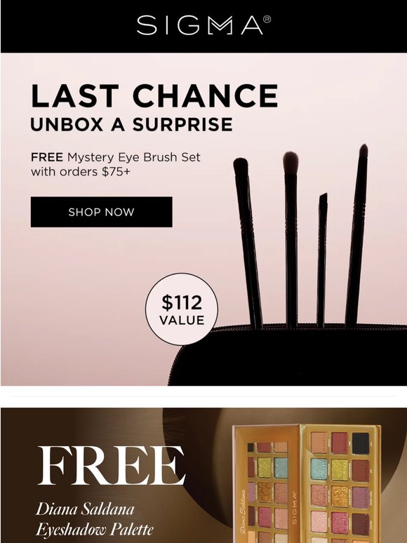 Your FREE Mystery Brush Set Ends Tonight! 🎁