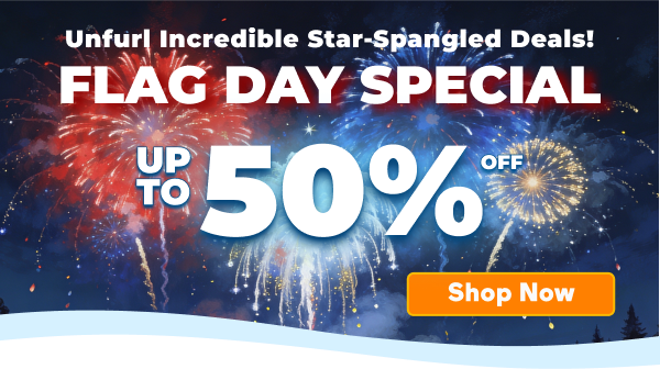 60% OFF Sale
