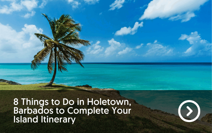 Barbados blog