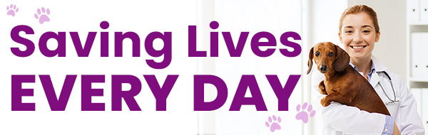 Saving Lives Every Day