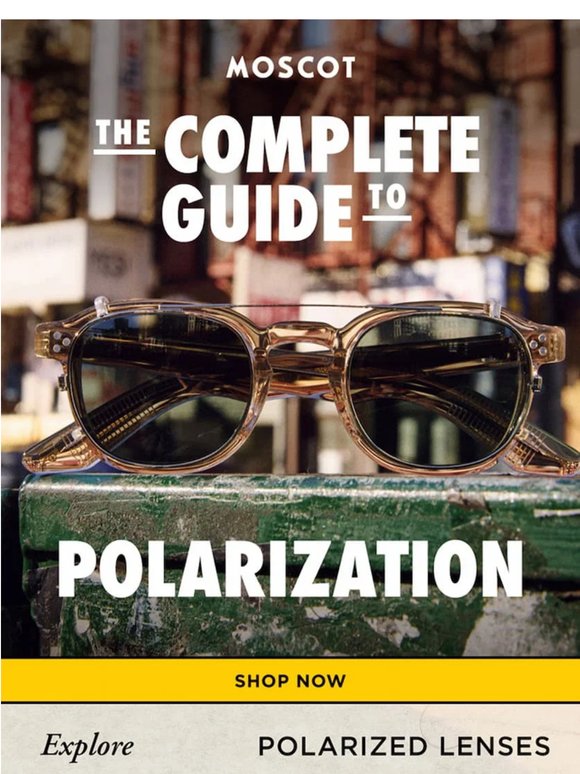 What’s the Big Deal About Polarization?