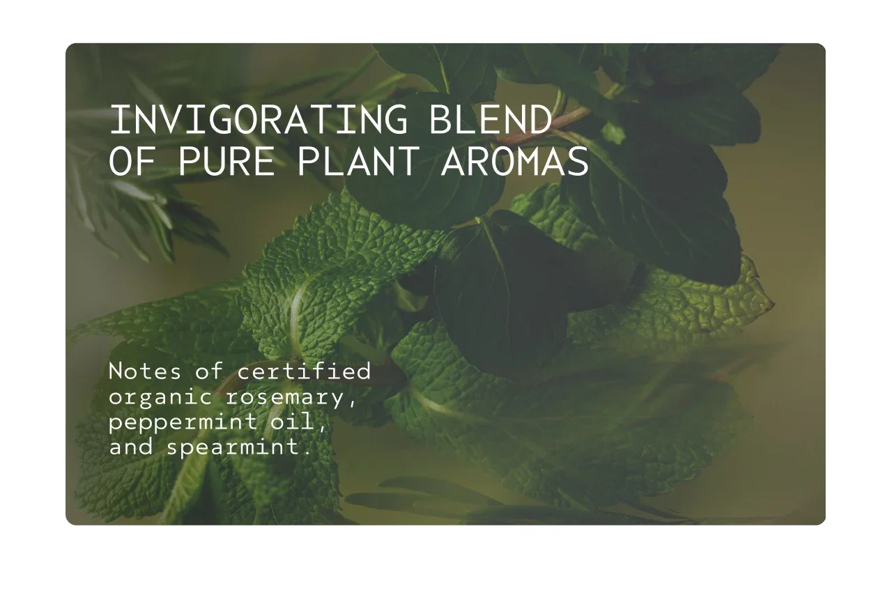 INVIGORATING BLEND OF PURE PLANT AROMAS Notes of certified organic rosemary, peppermint oil, and spearmint.