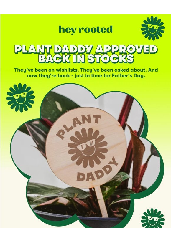 Back in stock and right in time for Father's Day 🪴🛒