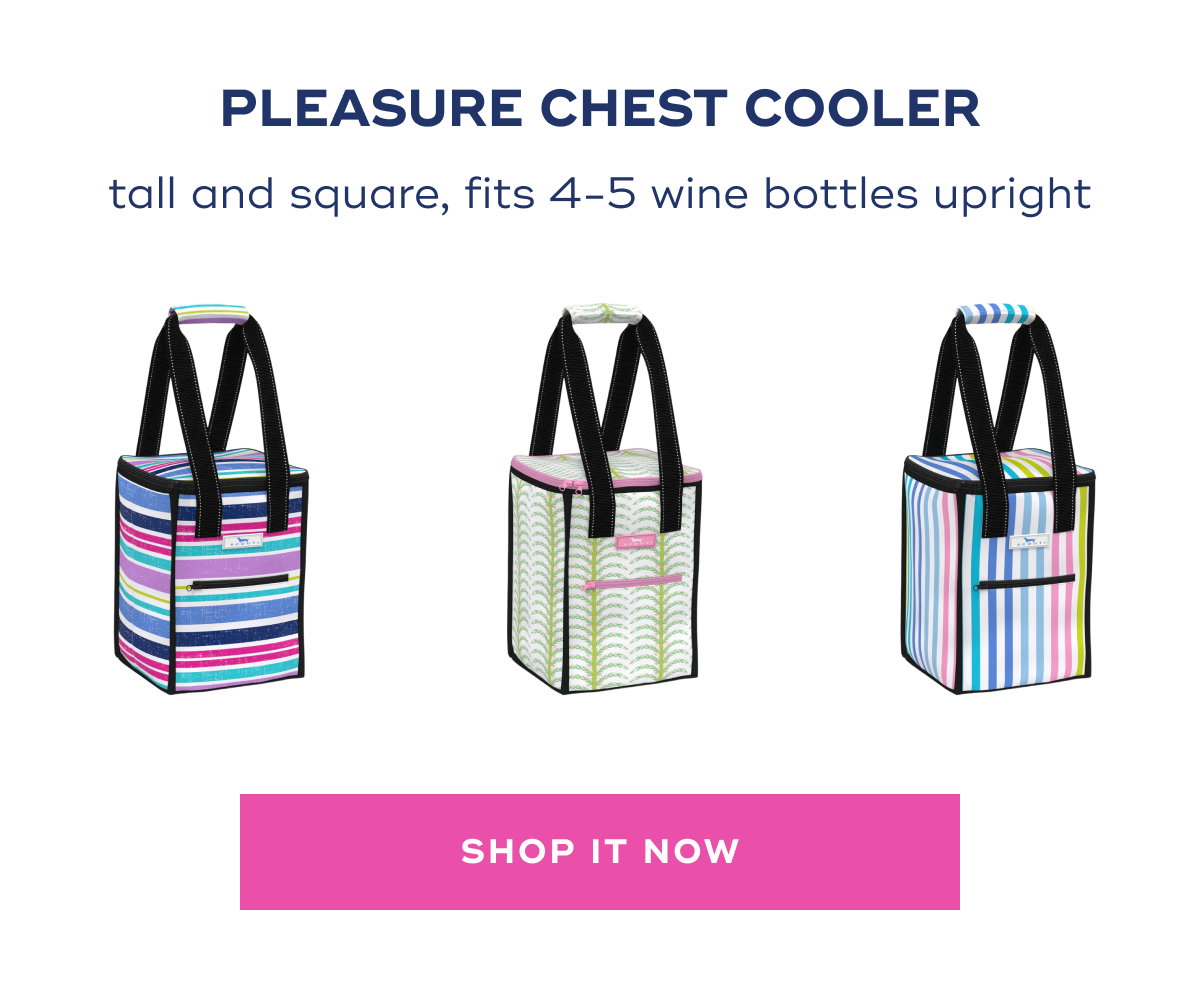 Pleasure Chest Cooler tall and square, fits 4-5 wine bottles upright shop it now