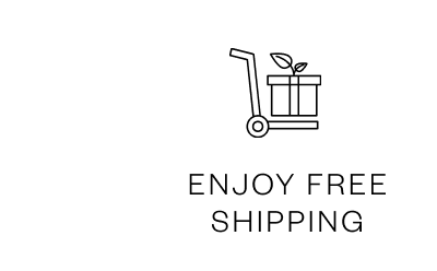 Free Shipping
