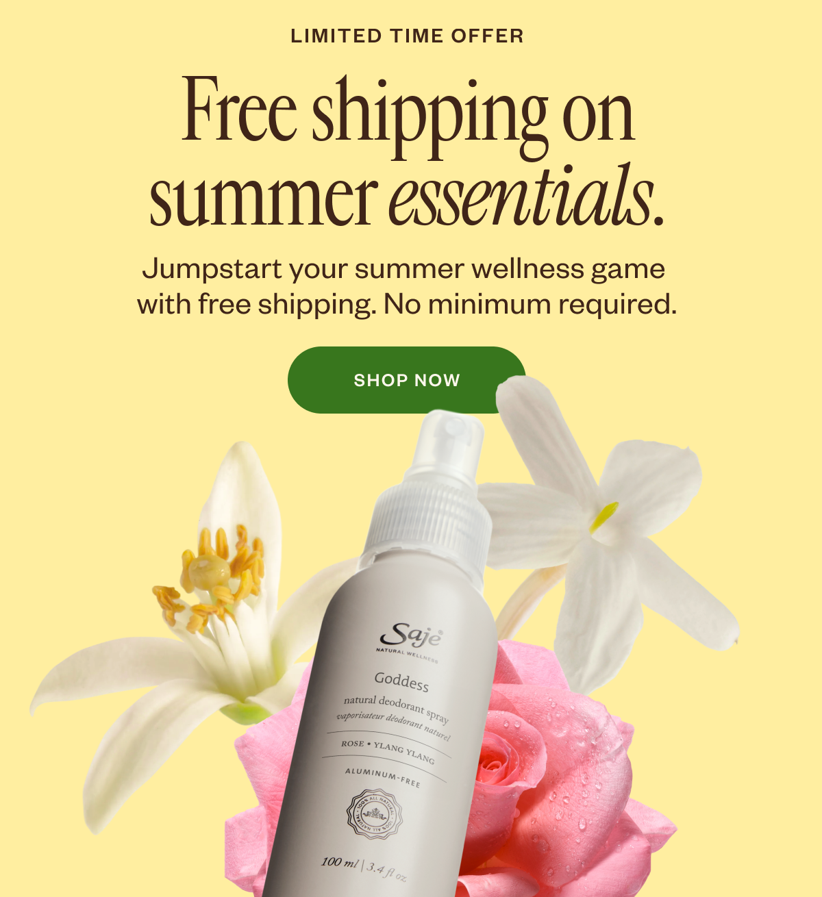 Free shipping on summer essentials