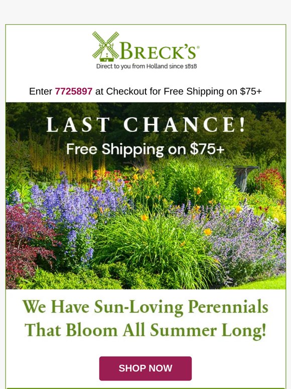 Last Day for Free Shipping on Sun Perennials 🌸