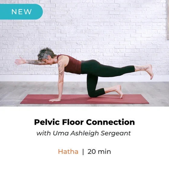 Pelvic Floor Connection with Uma Ashleigh Sergeant