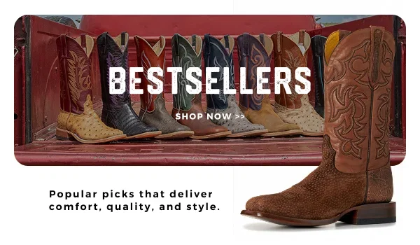 BOOT BESTSELLERS >>