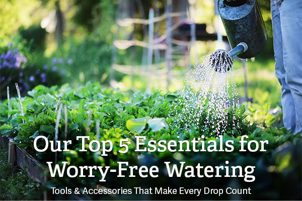 Our Top 5 Essentials for Worry-Free Watering - Tools & Accessories That Make Every Drop Count