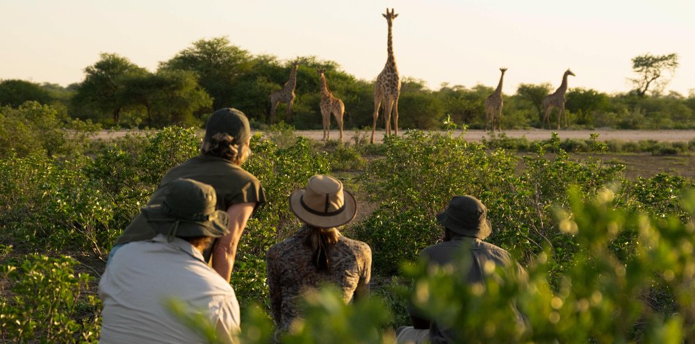 Family enjoying a guided walking safari