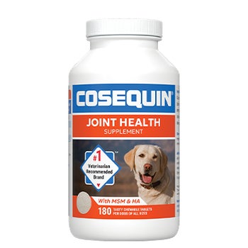 Cosequin Plus MSM & Hyaluronic Acid Joint Health Supplement for Dogs
