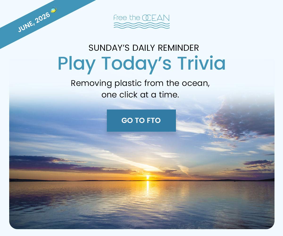 Removing plastic from the ocean, one click at a time