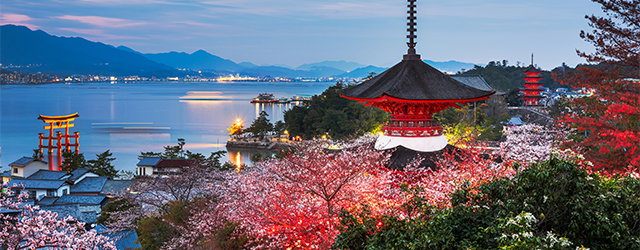 Ultimate Autumn in Japan