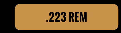 223 REM BUTTON