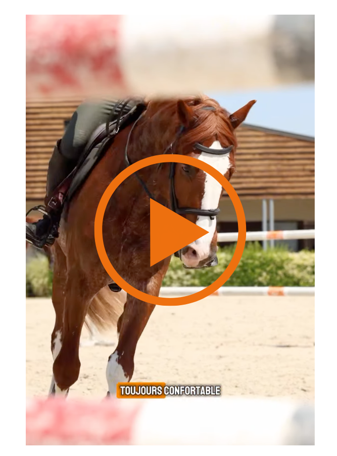 Les conseils de Maxime Livio