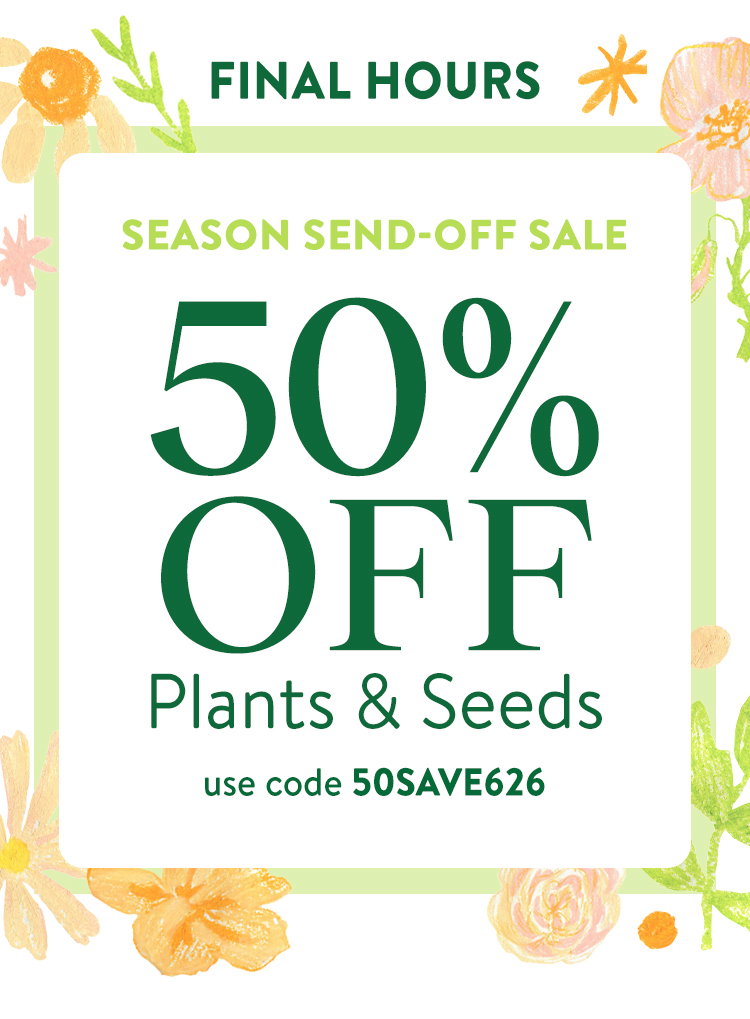 Last Call For Spring Plants
