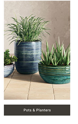 Pots & Planters >