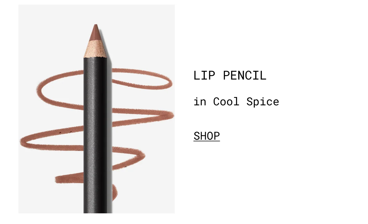 LIP PENCIL in Cool Spice | shop