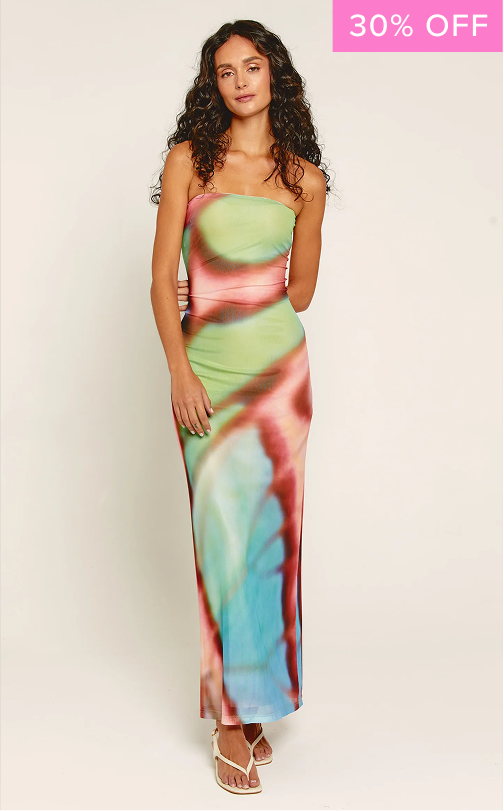 Multi Butterfly Blur Mesh Maxi Dress