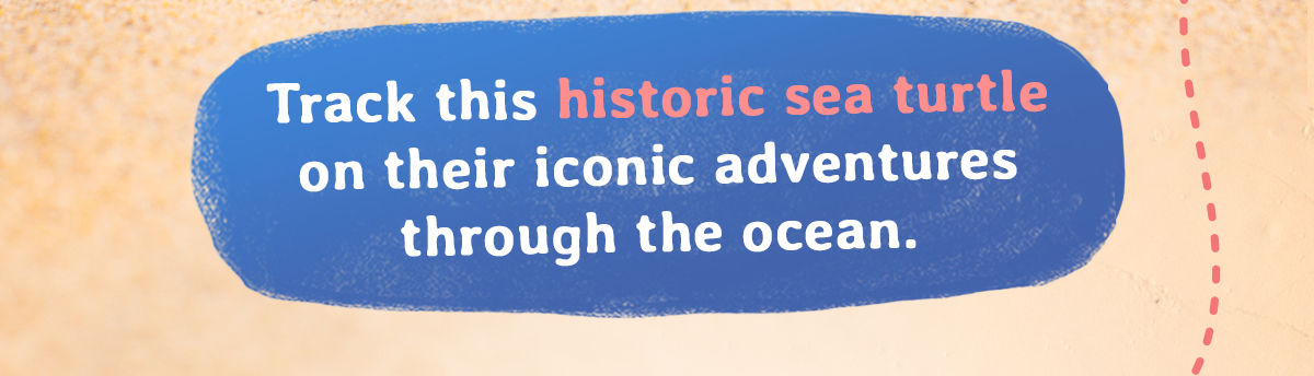 Track this historic sea turtle on their iconic adventures through the ocean.