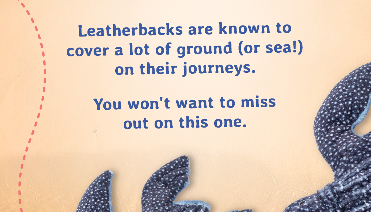 Leatherback are known to cover a lot of ground (or sea!) on their journeys. You won't want to miss out on this one.