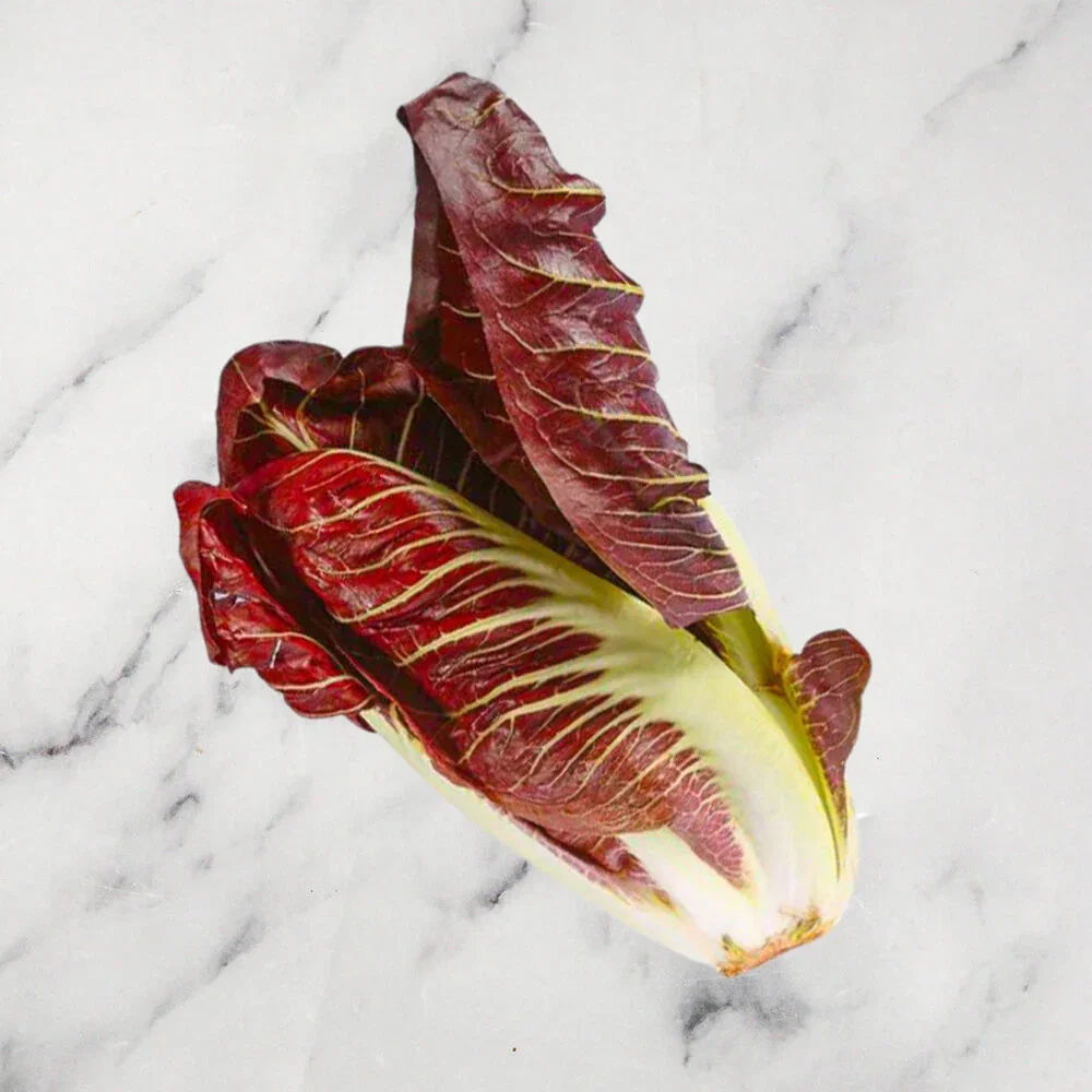 Image of Treviso Radicchio, 1kg