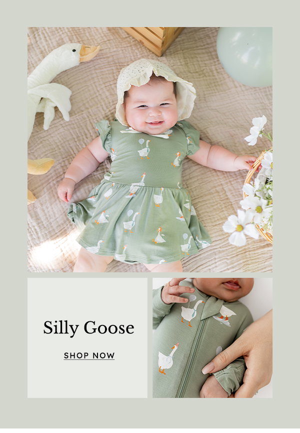 Shop Silly Goose