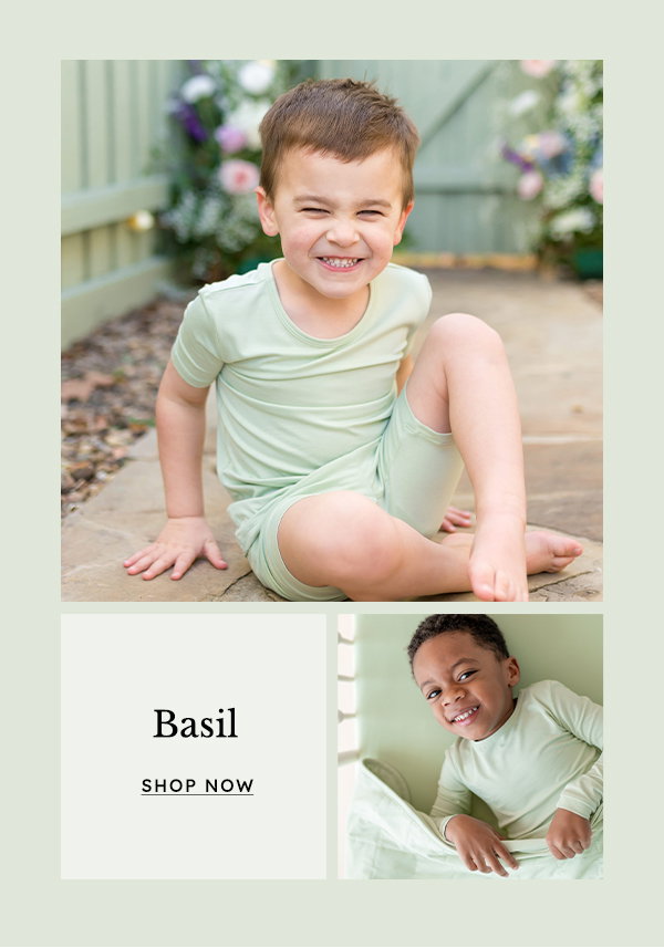 Shop Basil