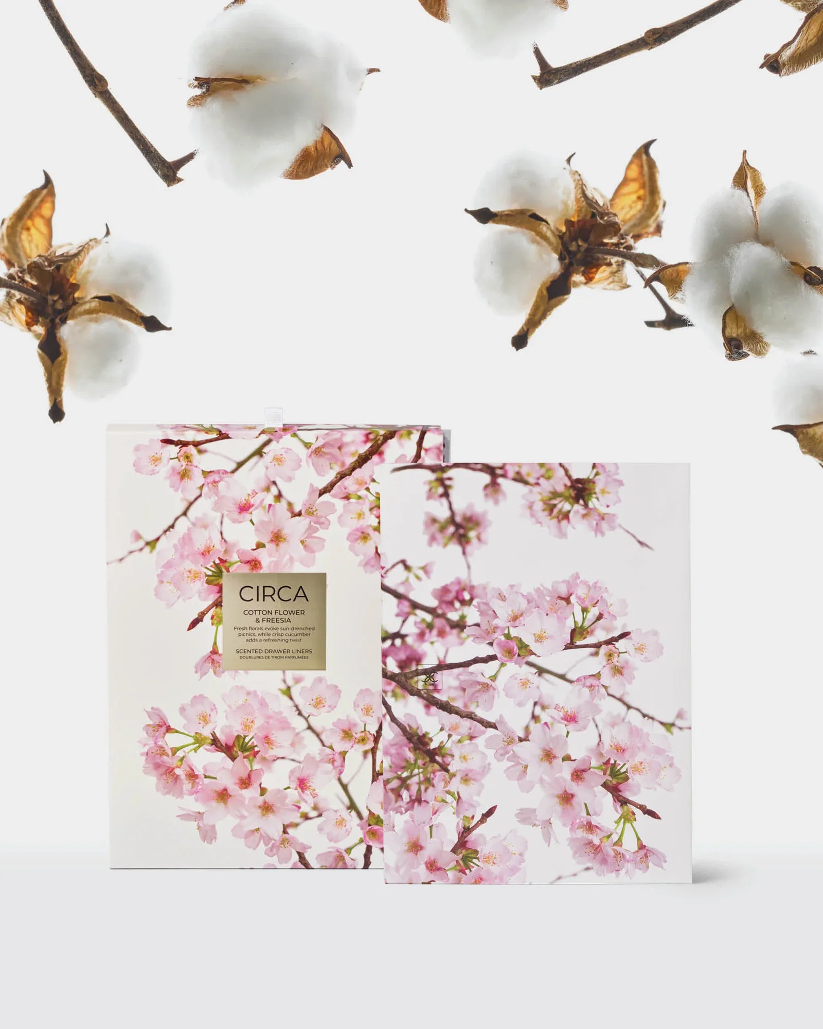 Image of Cotton Flower & Freesia