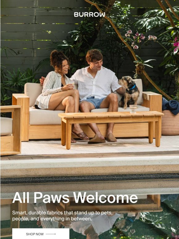 Furniture your dog can't ruin
