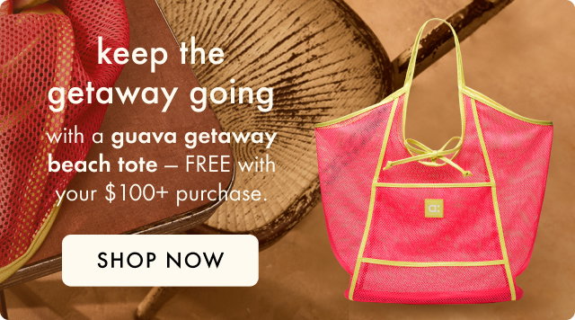 get a free beach tote with orders over $100