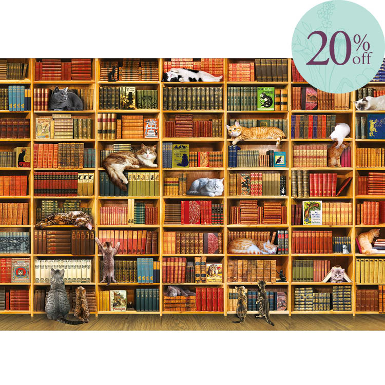 Best Cat Stories